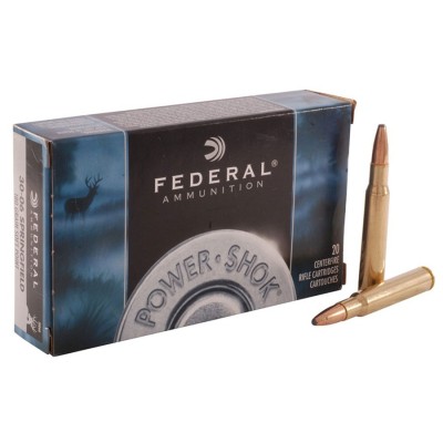 Cartucho 30-06 180gr SP Federal