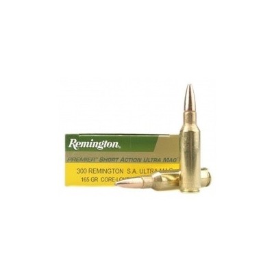 Cartucho 300 SAUM 165gr PSP Core Lock Remington