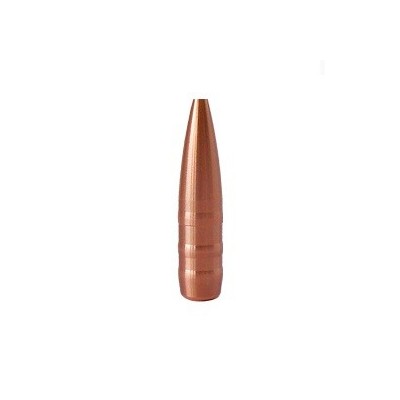Punta 6,5mm 110gr Hunter  (50u) Hasler