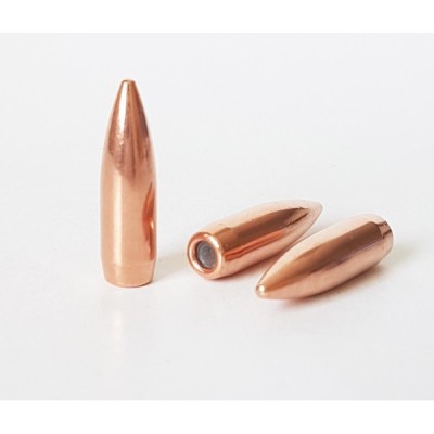 Punta 22 62gr FMJBT (100u) Prvi