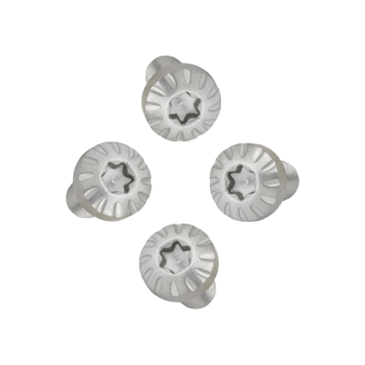 Tornillos cacha inox rayados Bul (4u)