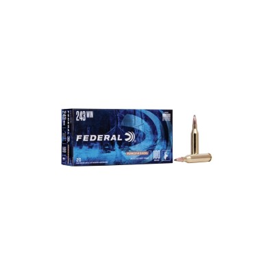 Cartucho 243 100gr Power-Shok Federal