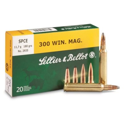 Cartucho 300 Win Mag 180gr SPCE S&B