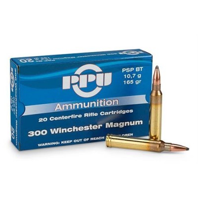 Cartucho 300 Win Mag 165gr PSPBT Prvi