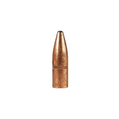 Punta 243/6mm-80 PSP Remington