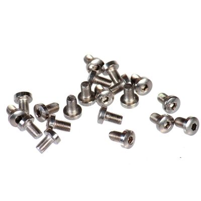 Allen stainless steel Bul grip screws (4u)