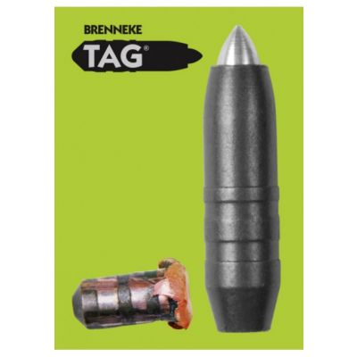 Bullet 30 155gr (.308) Brenneke