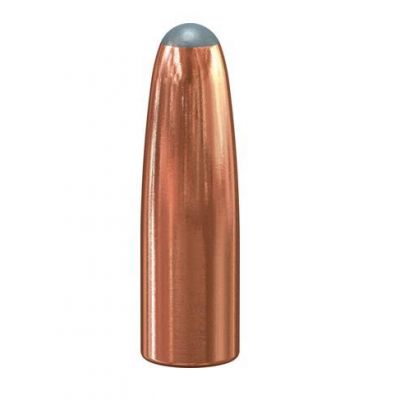 Bullet 303 (311) 180gr SPRN Hot-Cor SPEER